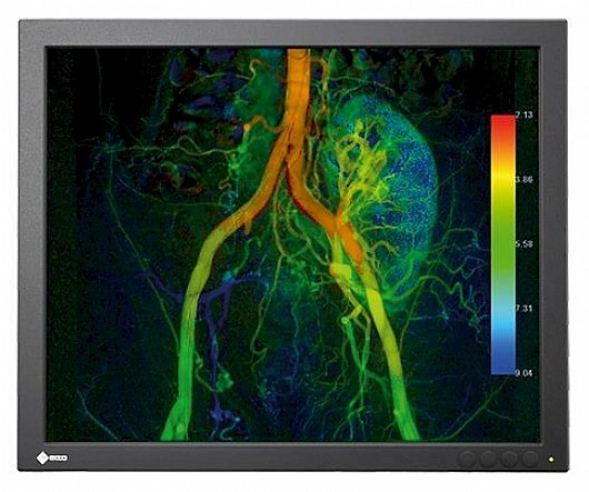 ��� ����� ����� "27 Eizo CuratOR EX190
