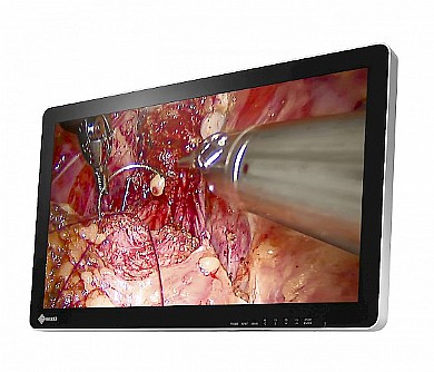 ��� 3D ����� ����� "26 Eizo CuratOR EX2620-3D
