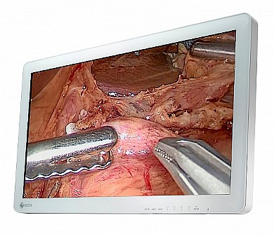 מסך לחדרי ניתוח "26 Eizo CuratOR EX2620 מסך לחדרי ניתוח "26 Eizo CuratOR EX2620