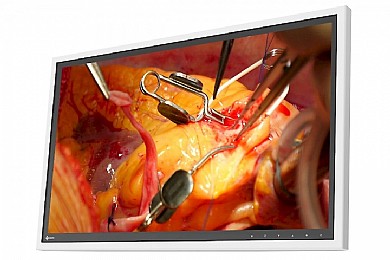 ��� ����� ����� "27 Eizo RadiForce EX271W