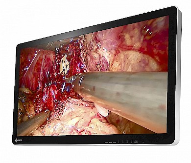 ��� 3D ����� ����� "31.5 Eizo CuratOR EX3220