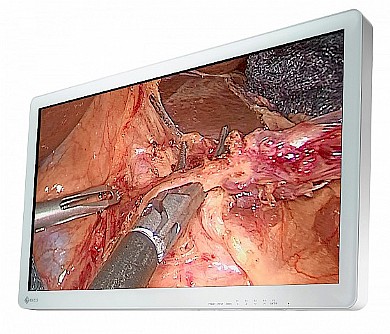 ��� ����� ����� "31.5 Eizo CuratOR EX3220