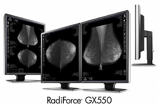 ��� ����� "21.3 Eizo RadiForce GX550