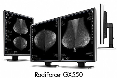 מסך רפואי "21.3 Eizo RadiForce GX550 מסך רפואי "21.3 Eizo RadiForce GX550