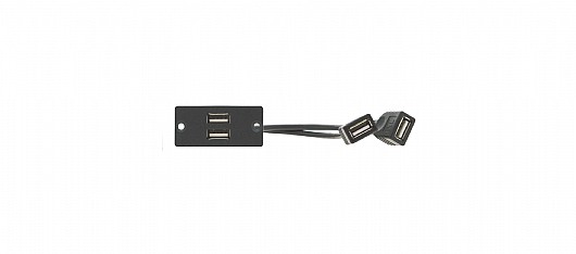 ���  Kramer WU-2AA ����� 2*USB-A ������ 2*USB-A