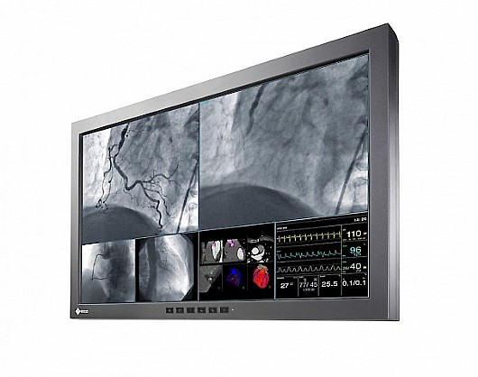 ��� ����� ����� "29.8 Eizo RadiForce LX300W
