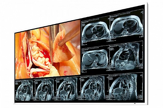 ��� ����� ����� "49 Eizo CuratOR LX490W