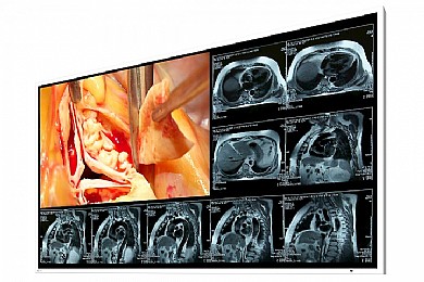 ��� ����� ����� "49 Eizo CuratOR LX490W