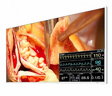 ��� ����� ����� "49 Eizo CuratOR LX491W