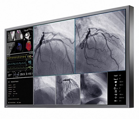 ��� ����� ����� "55 Eizo CuratOR LX550W