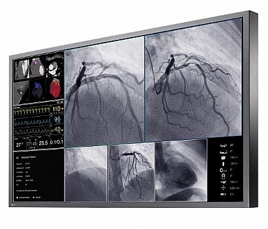 ��� ����� ����� "55 Eizo CuratOR LX550W