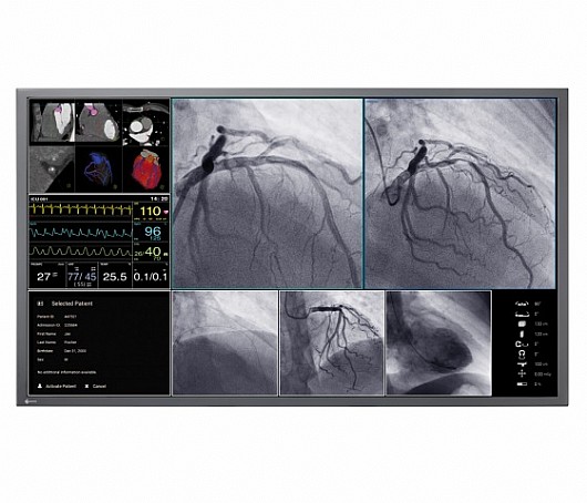 ��� ����� ����� "55 Eizo CuratOR LX550W