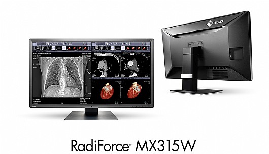�� ����� "31.1 Eizo RadiForce MX315W 