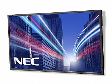 צג מקצועי "70 NEC P703 צג מקצועי "70 NEC P703