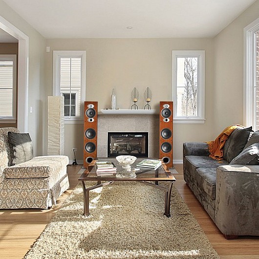 ������� ������� �������� Polk Audio RTi-A7 dual 5 way