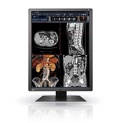 ��� ����� "21.3 Eizo RadiForce RX250