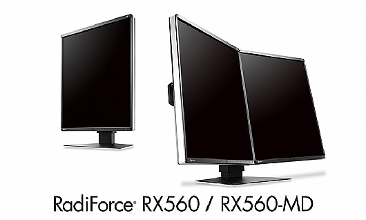 ��� ����� "21.3 Eizo RadiForce RX560