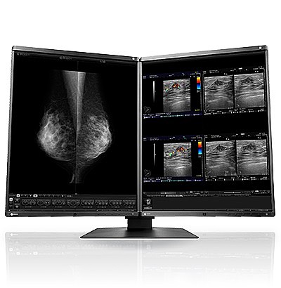 ��� ����� "21.3 Eizo RadiForce RX560