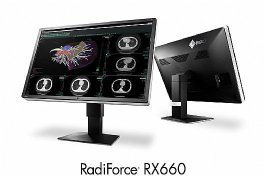 ��� ����� "30  Eizo RadiForce RX660
