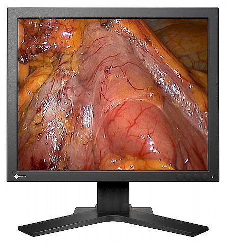��� ����� "19 Eizo SCD19102