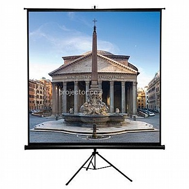 מסך חצובה VEGA 203x203 "113 מסך חצובה VEGA 203x203 "113