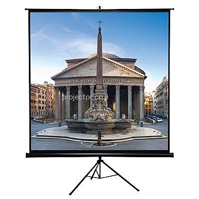 ��� ����� 244x244 VEGA "136