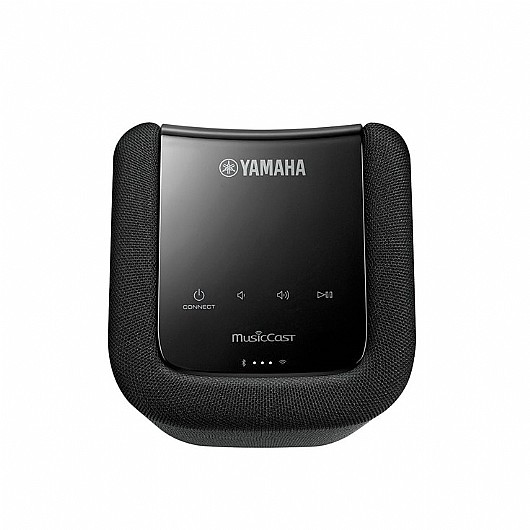 ������� ��� ���� Yamaha WX010