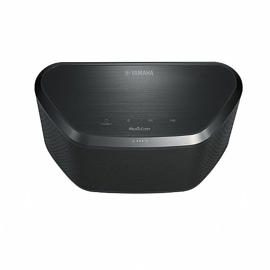 ������� ���� Yamaha WX-030