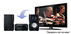 Digital Audio Input for TV or Blu-ray Disc™ Player